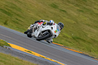 PJ-Motorsport-2019;anglesey-no-limits-trackday;anglesey-photographs;anglesey-trackday-photographs;enduro-digital-images;event-digital-images;eventdigitalimages;no-limits-trackdays;peter-wileman-photography;racing-digital-images;trac-mon;trackday-digital-images;trackday-photos;ty-croes